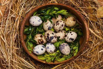 Obraz premium Vintage chicken,turkey and quail eggs in a wooden bowl. Easter concept.