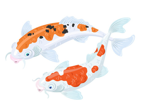 Two white Japanese koi carps with red and black spots. Isolated on a white background. Vector illustration.