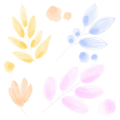 Delicate sweet pastel orange flower, twigs set watercolor digital art. Print for cards, invitations, weddings, banners, posters, fabrics, wrapping paper, packages, web design.