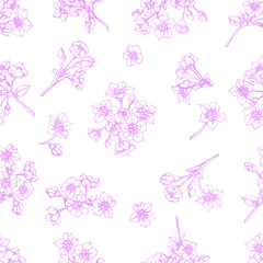 Seamless floral pattern, from sakura flowers, drawn by a lilac contour on a white background. Design for fabric, wrapping paper, print.