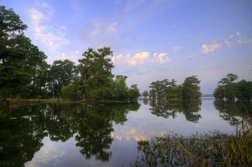 Serene water at Lake Martin, Breaux Bridge, Louisiana early morning