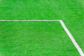 Obraz premium Green grass texture background, Green lawn, Backyard for background, Grass texture