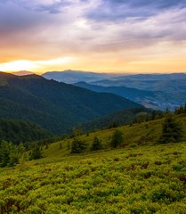 majestic european summer dawn image, awesome sunrise scene, green hill on background amazing sky, colorful morning landscape in the mountains, Carpathian mountains, Ukraine, Europe