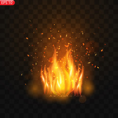 Realistic burning fire flames vector effect