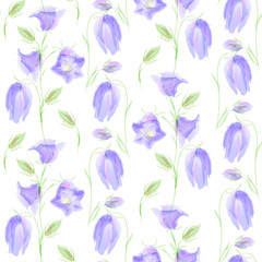 Campanula flowers seamless pattern. Summer floral background, imitation of watercolor, hand drawing.Spring,summer holidays presents and gifts wrapping paper; For textiles,packaging,fabric,wallpaper.
