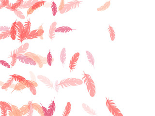 Fluffy twirled feathers on white design.