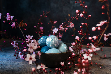 Blue Easter Eggs on black bowl, surrounded by pink flowers. Easter decoration