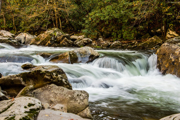 Flowing Brook in Great Smokey Mountains National Park