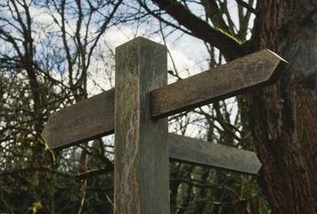 Traditional wooden signpost with blank arrows pointing in different directions in the forest 