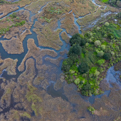 Aerial view of the Victoria marshes, Noja. Marismas de Santoña, Victoria y Joyel Natural Park, Cantabrian Sea, Cantabria, Spain, Europe