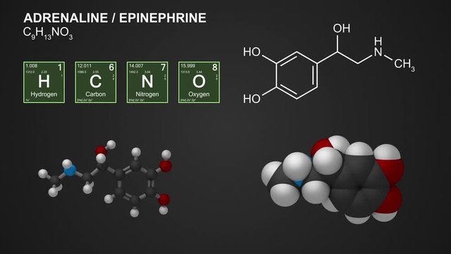 Animated models of adrenaline (epinephrine) molecule, seamless loop, 4K, 30fps