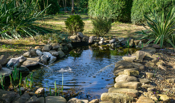 Beautiful small garden pond with a frog-shaped fountain and stone shores in spring. Selective focus. Nature concept for design.