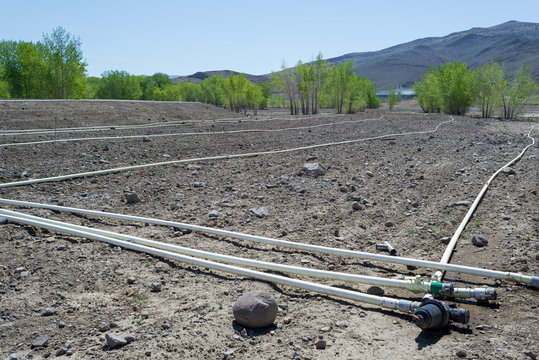 PVC Irrigation Piping on a Truckee River Wetland Restoration Project in Storey County outside Reno, NV in the Tahoe Reno Industrial Center near USA Parkway