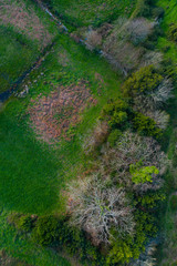 Aerial view of the countryside in the Liendo Valley, Liendo, Cantabrian Sea, Cantabria, Spain, Europe