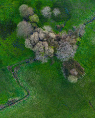 Aerial view of the countryside in the Liendo Valley, Liendo, Cantabrian Sea, Cantabria, Spain, Europe
