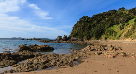 Fototapeta na wymiar Tapeka Point Beach near the town of Russell in the beautiful Bay of Islands, New Zealand