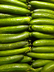 Green cucumbers