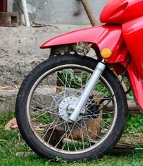 Cat on motorcycle wheel
