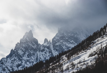 Alpine landscape with snowy mountains and trees