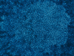 Beautiful cold blue texture, close-up.