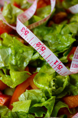 chopped fresh vegetable salad in a plate for a vegetarian girl