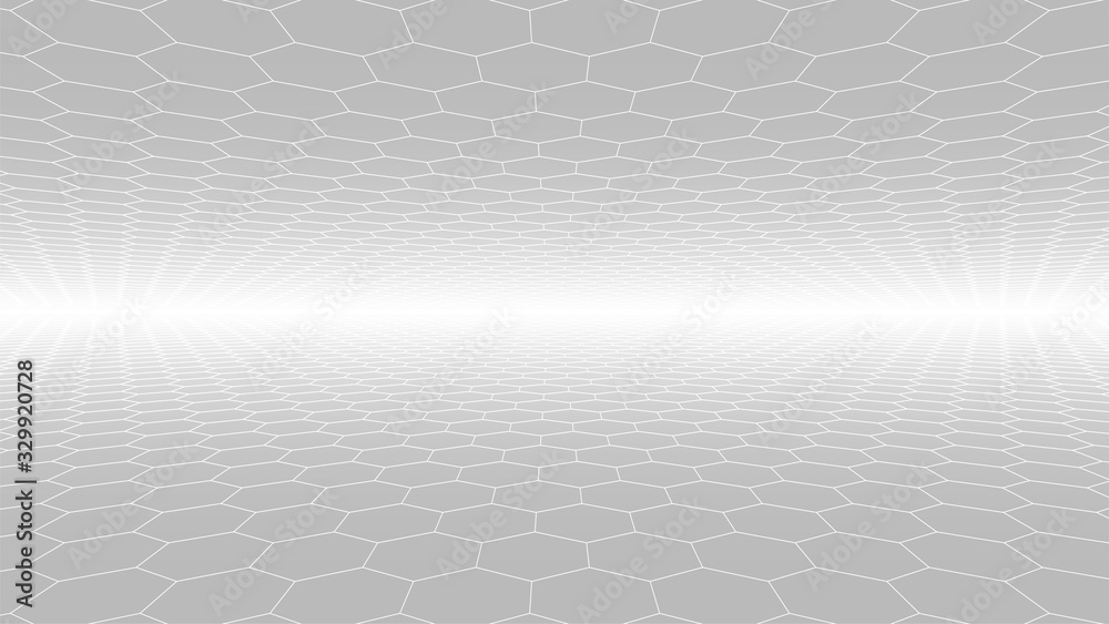 Fototapete Abstract White Hexagon Background. Grey Perspective Hexagonal Vector Illustration. Cyberspace Backdrop. Horizontal 3d Computer Space. Sci-fi Modern Structure. Futurisctic Technology concept