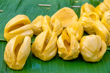 Jackfruit