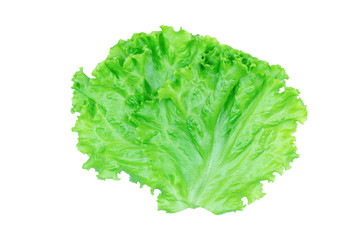 Salad leaf. Lettuce isolated on white background with clipping path