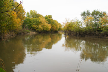A reflection of autumn trees