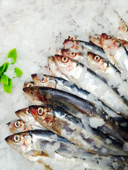 fresh raw fish