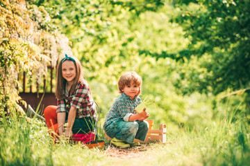 American kids on farm. Two little Farmers children with organic homegrown vegetables. Summer at countryside.