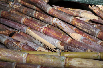 Sugar Cane stacked