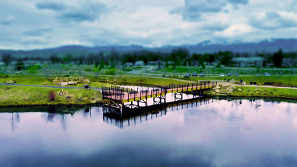 Fototapeta na wymiar Dock Reflection in Pond with Darkened Background