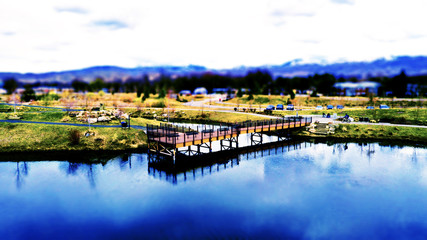 Fototapeta na wymiar Dock Reflection in Pond in Spring