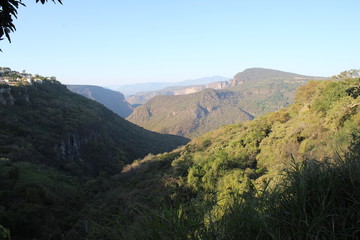 Naklejka premium naturaleza animales 