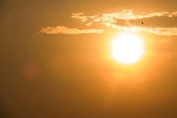 Silhouette sunset background with copy space, selective lens flare and soft focus
