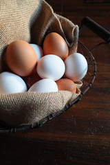 Weiße und braune Eier