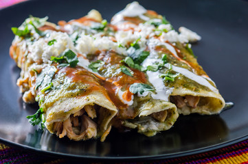 Chicken Filled Green Enchiladas, Traditional Mexican Meal