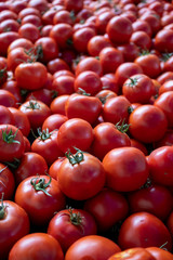 Tomatoes for sale in the market
