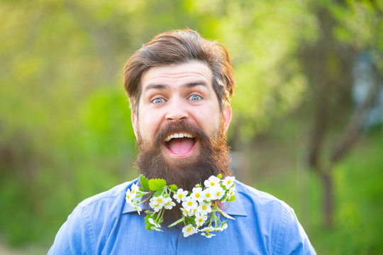 Blossom Beard. Funny Head Portrait Of A Bearded Man Looking At The Camera Over Spring Blossom Background.