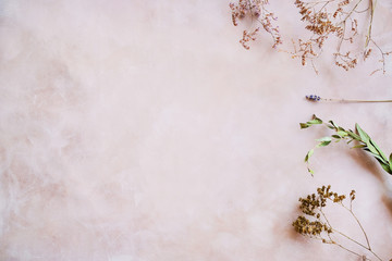 Herbs and dried flowers on pastel pink backdrop. Copy space. Romantic floral background.