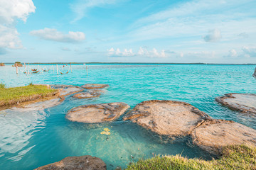 Stromatolites of Bacalar Lagoon, near Cancun in Riviera Maya, Mexico