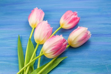 Tulips bouquet  . pink spring flowers