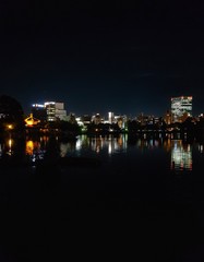 Lago parque Ueno en Tokyo
