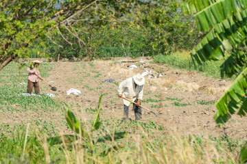 rural