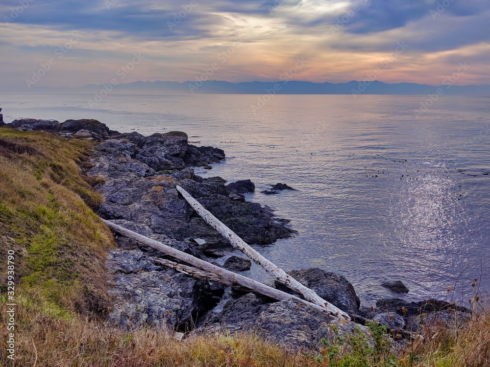 Wall mural Grassy, rocky shoreline of San Juan Island, WA, on a cloudy, blue day