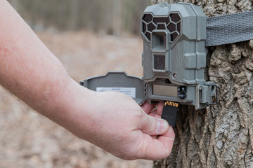 A man taking the SD card out of a motion activated trail camera to check the photos for wild game....