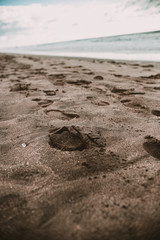 Fototapeta na wymiar Steps in sand 1