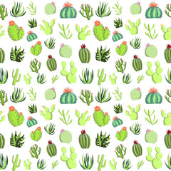 Seamless cactus, succulent pattern, hand drawn digital painting, illustration