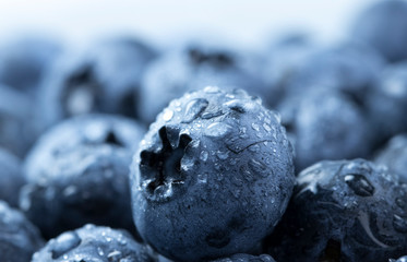 blueberry berry health and diets close-up macro with fresh water drops